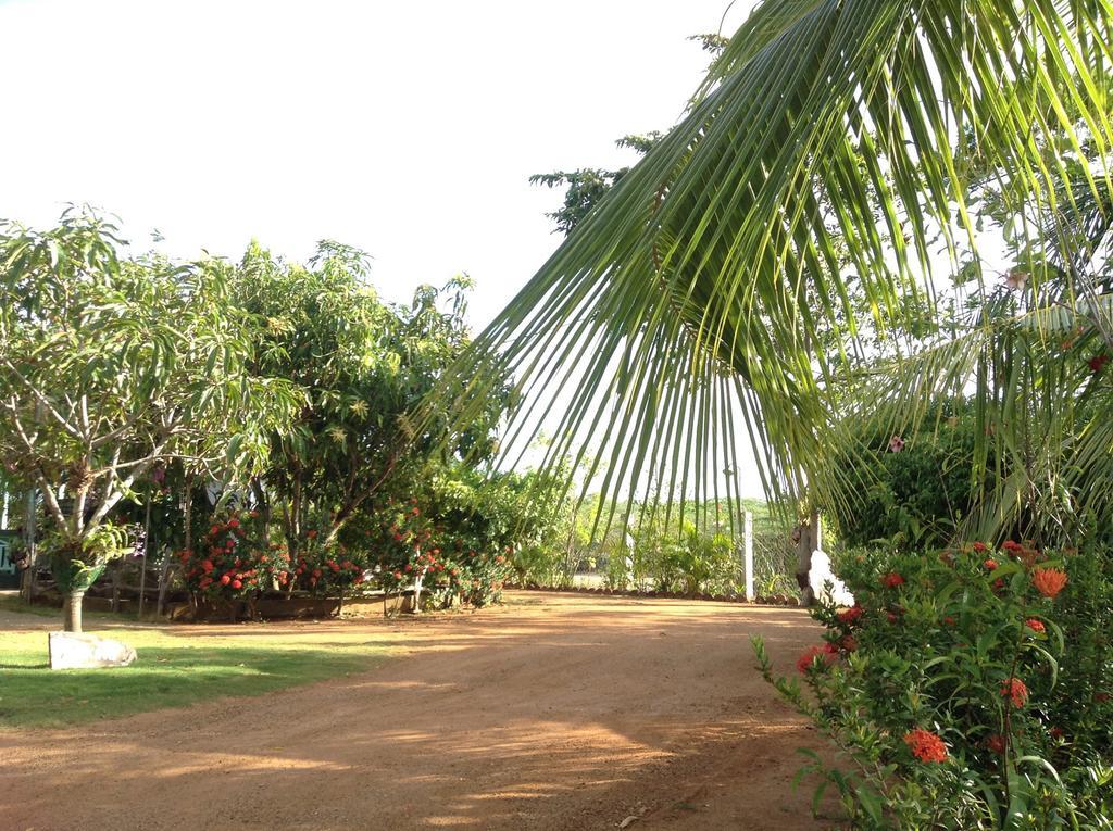 Lagoon Inn Hambantota Eksteriør billede